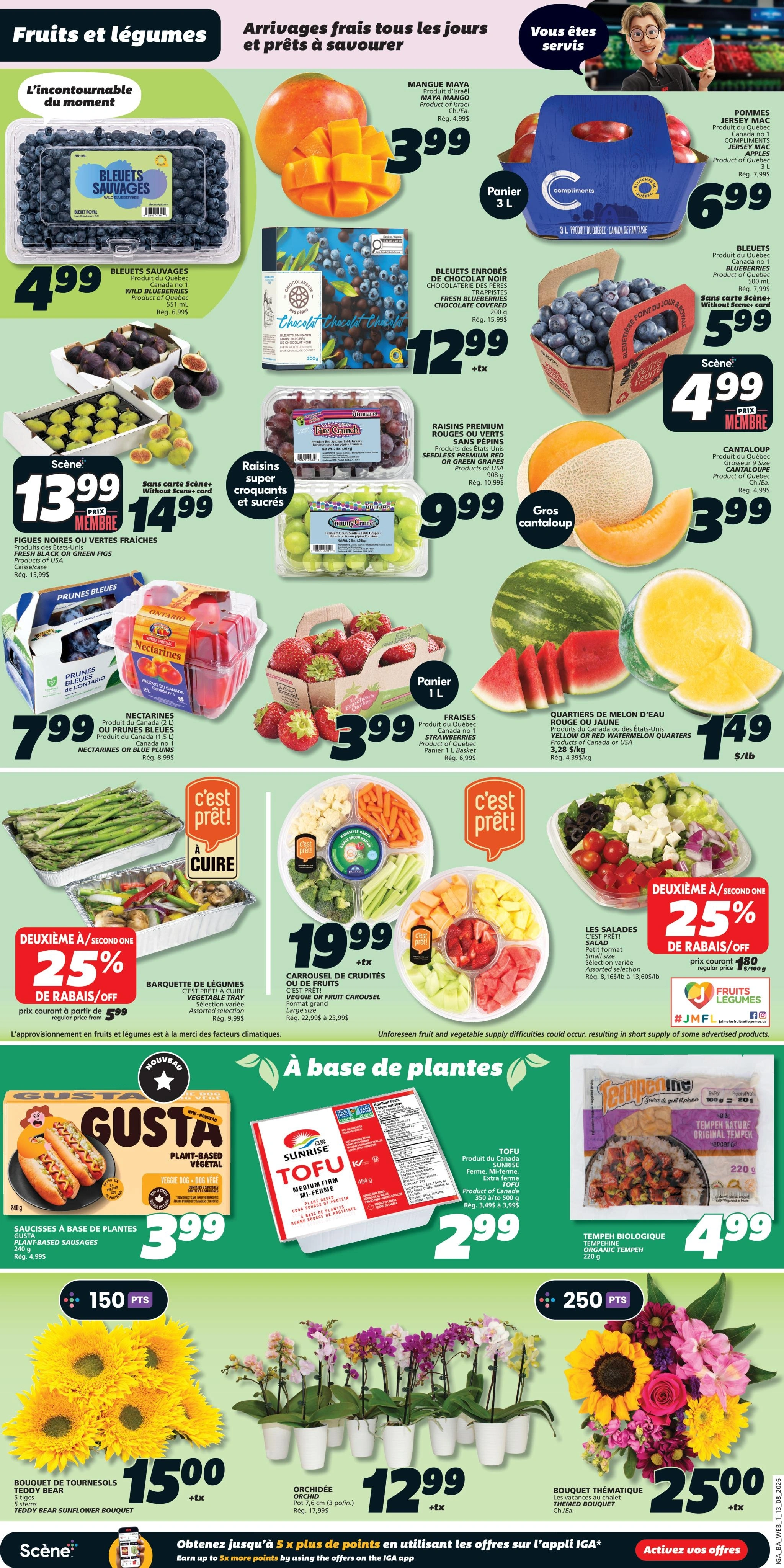IGA flyer page 3