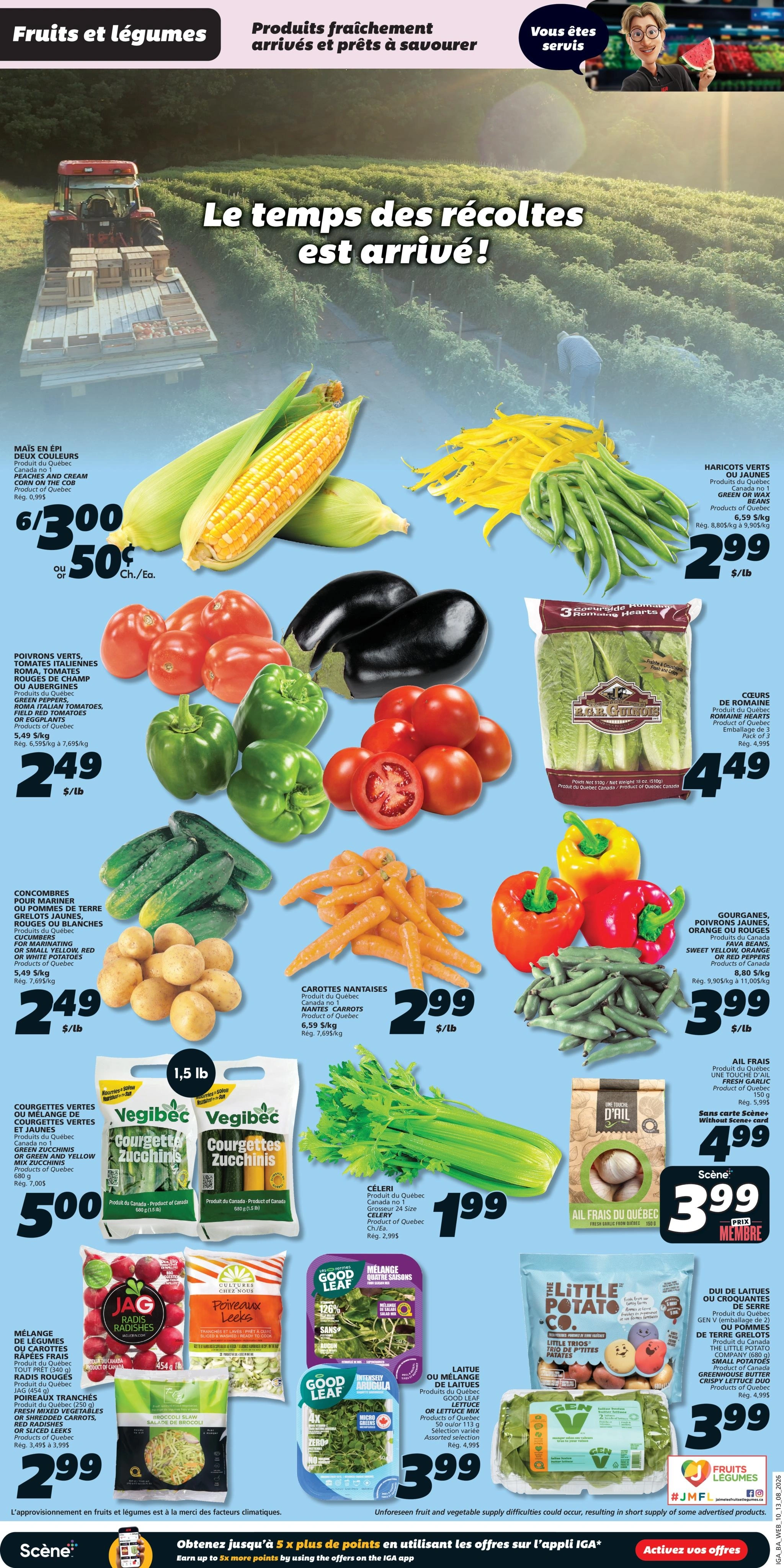 IGA flyer page 5