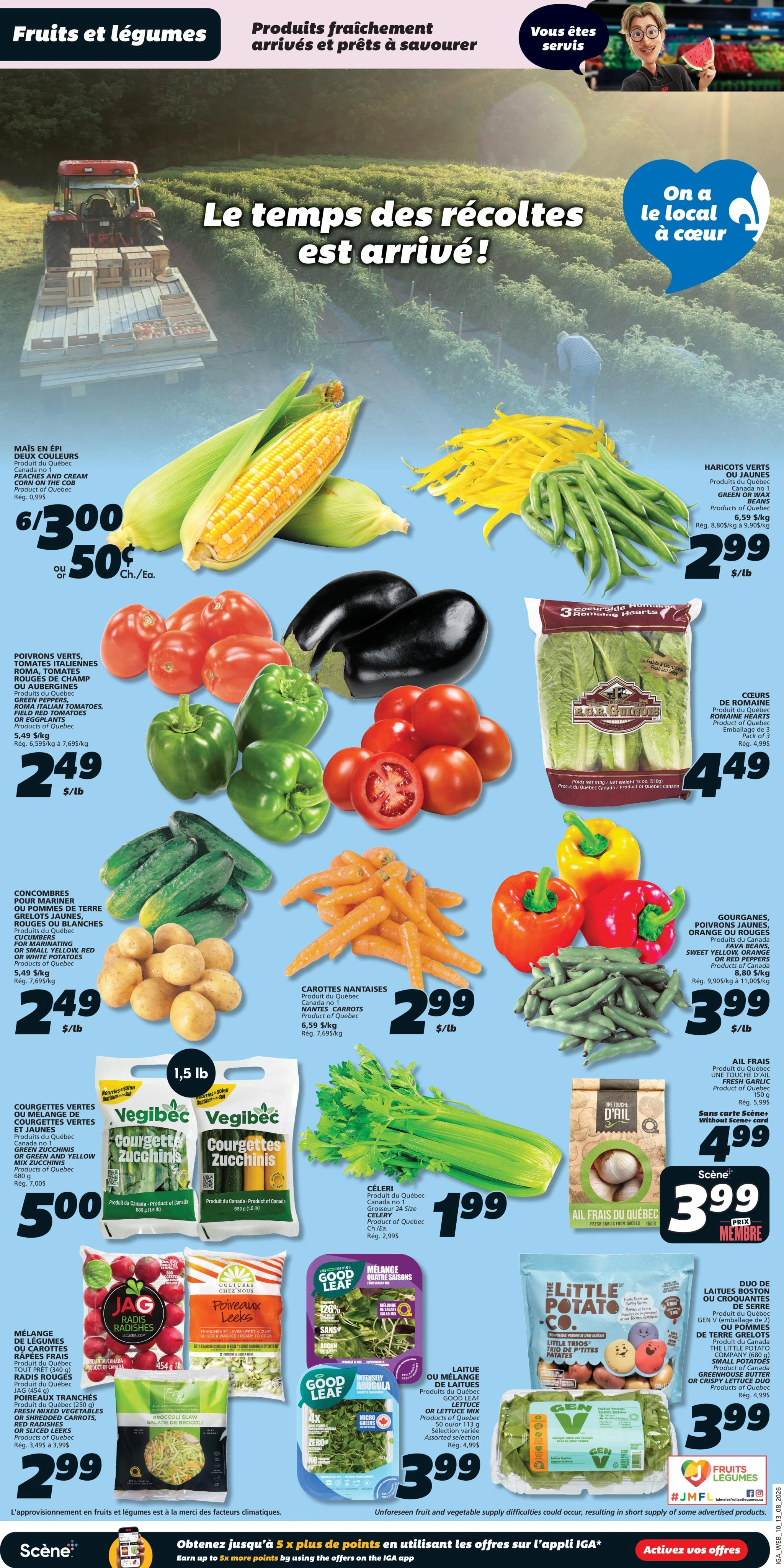 IGA flyer page 5