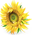 Centre de Jardin logo