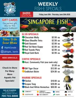Big Al's Big Al's (Barrie) Weekly Specials June 19 to 25