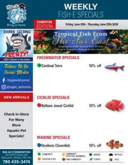 Big Al's Big Al's (Edmonton) Weekly Specials June 19 to 25