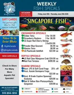 Big Al's Big Al's (Kitchener) Weekly Specials June 19 to 25