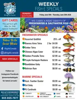 Big Al's Big Al's (Newmarket) Weekly Specials June 19 to 25