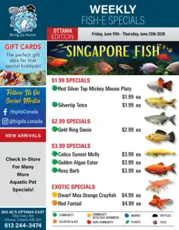 Big Al's Big Al's (Ottawa) Weekly Specials June 19 to 25