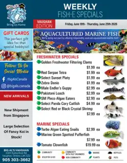 Big Al's Big Al's (Vaughan) Weekly Specials June 19 to 25