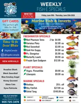 Big Al's Big Al's (Whitby) Weekly Specials June 19 to 25