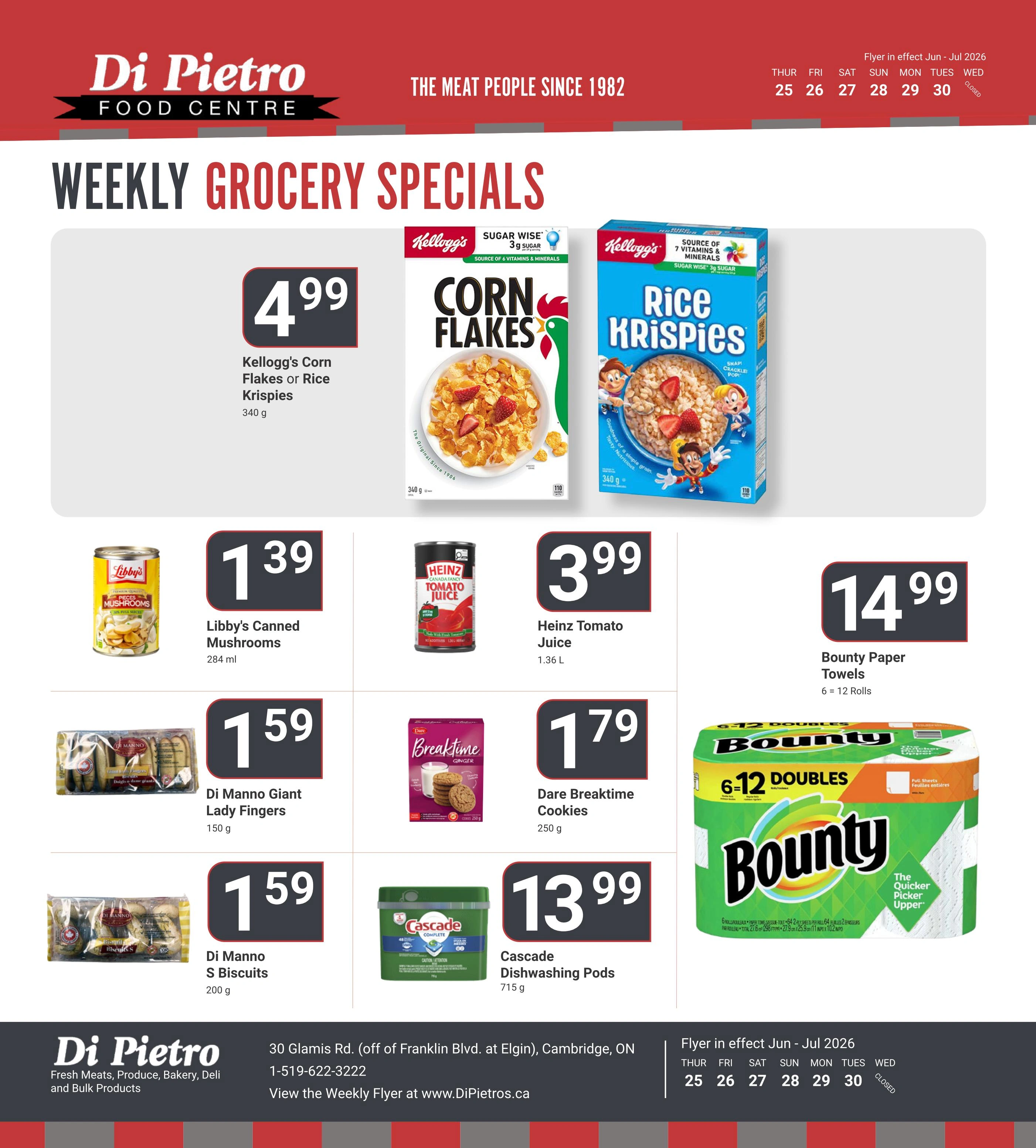 Di Pietro flyer page 9