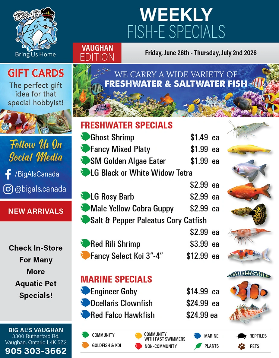 Big Al's flyer page 1