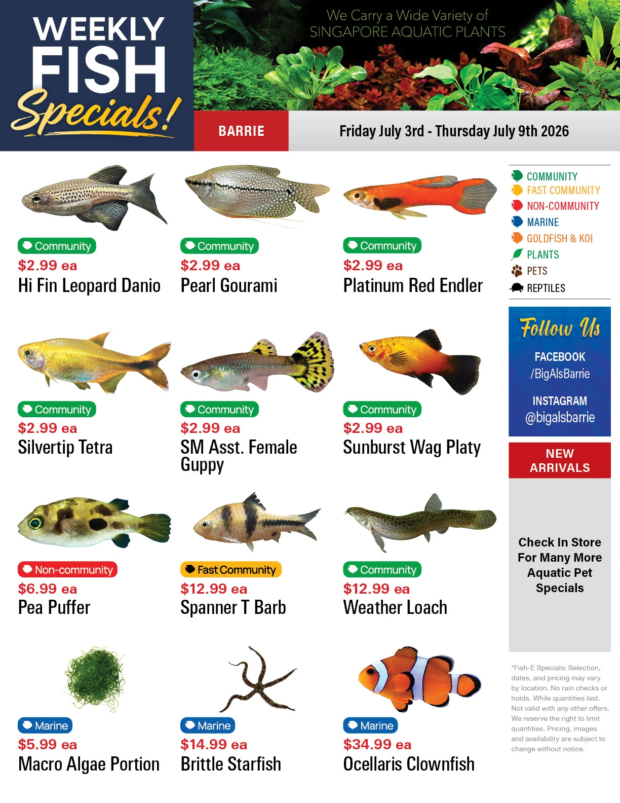 Big Al's flyer page 1