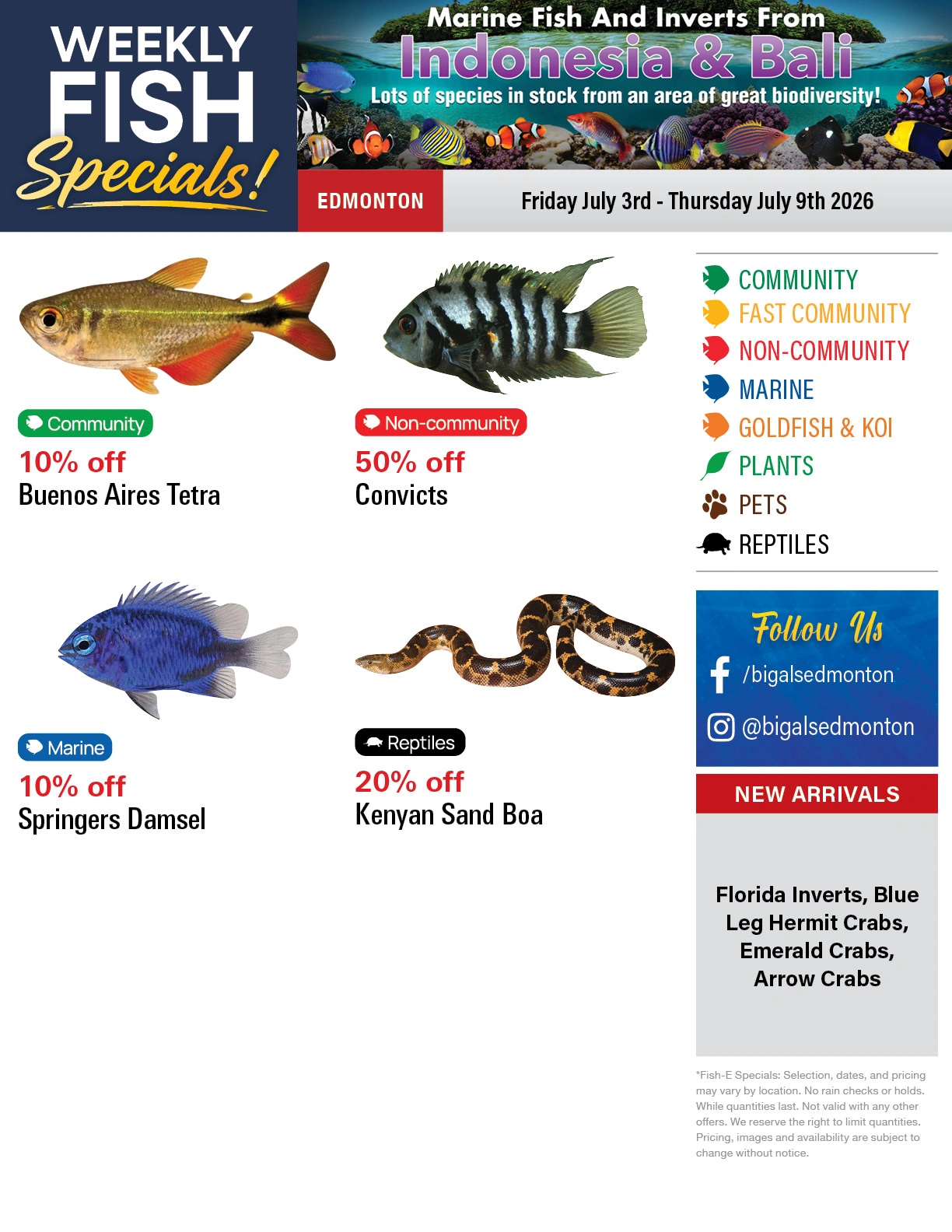 Big Al's flyer page 1