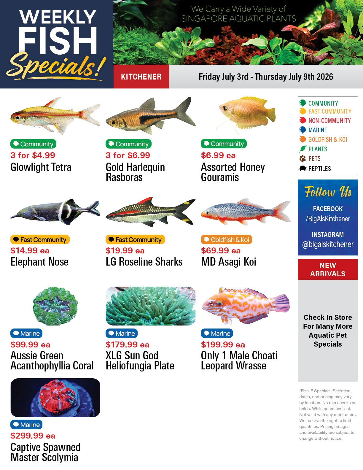 Big Al's flyer page 1