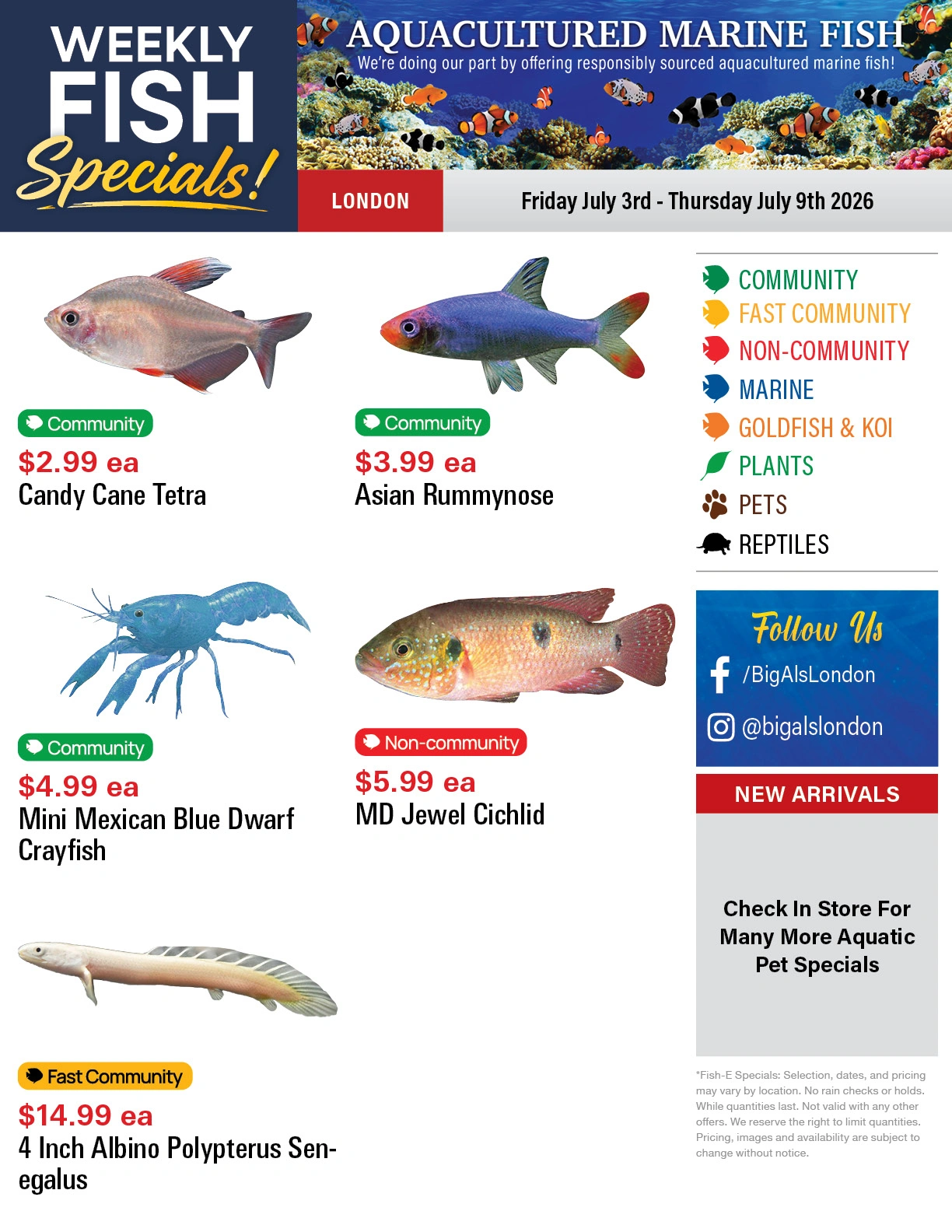 Big Al's flyer page 1