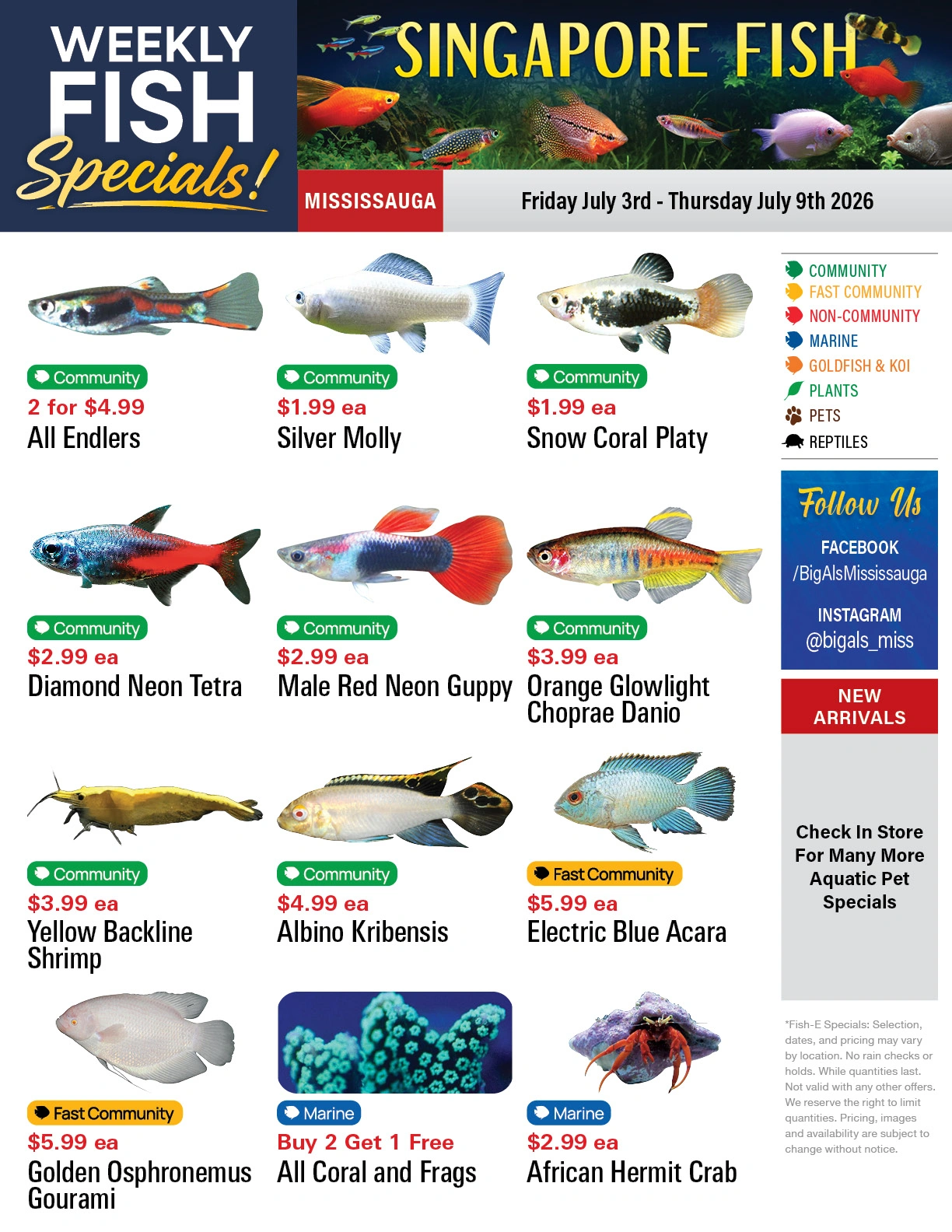 Big Al's flyer page 1