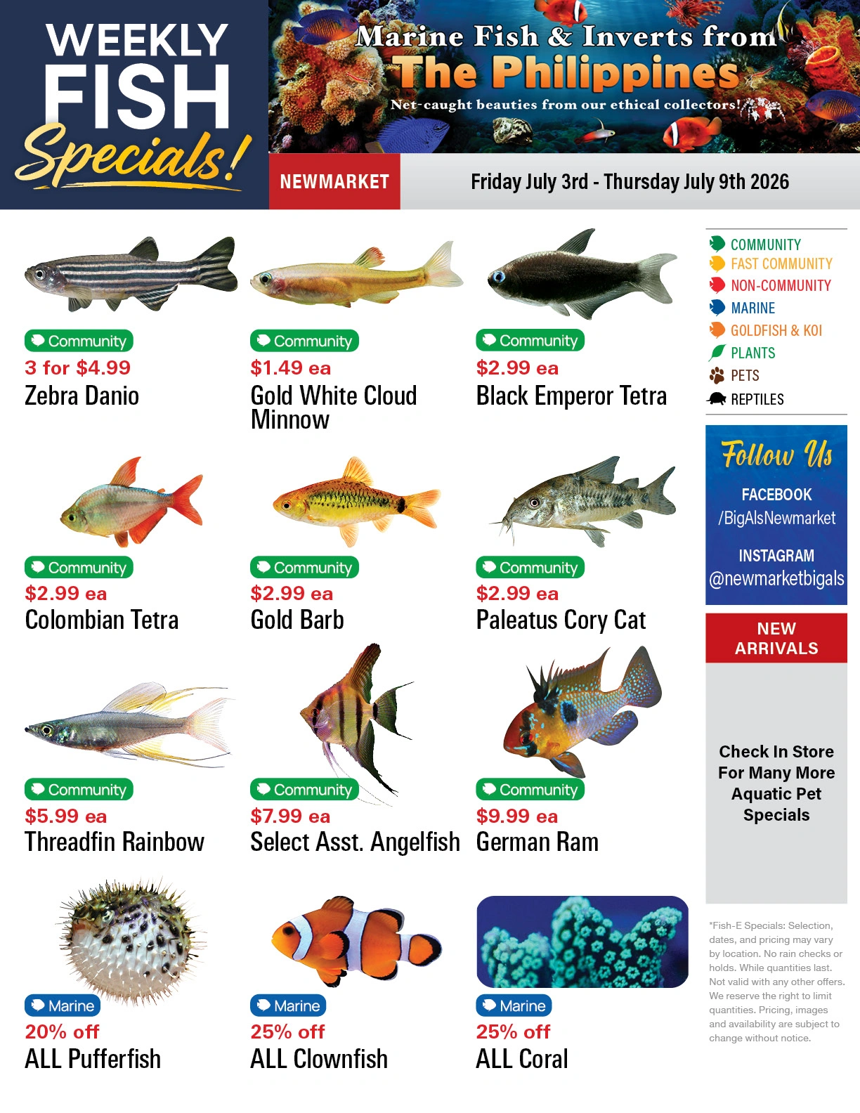 Big Al's flyer page 1