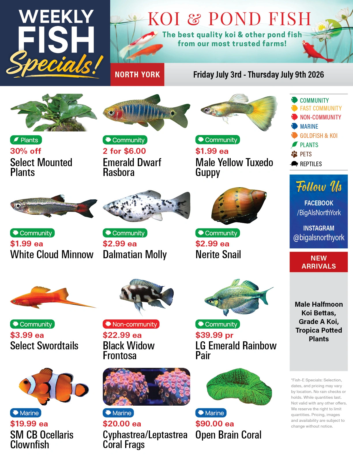 Big Al's flyer page 1