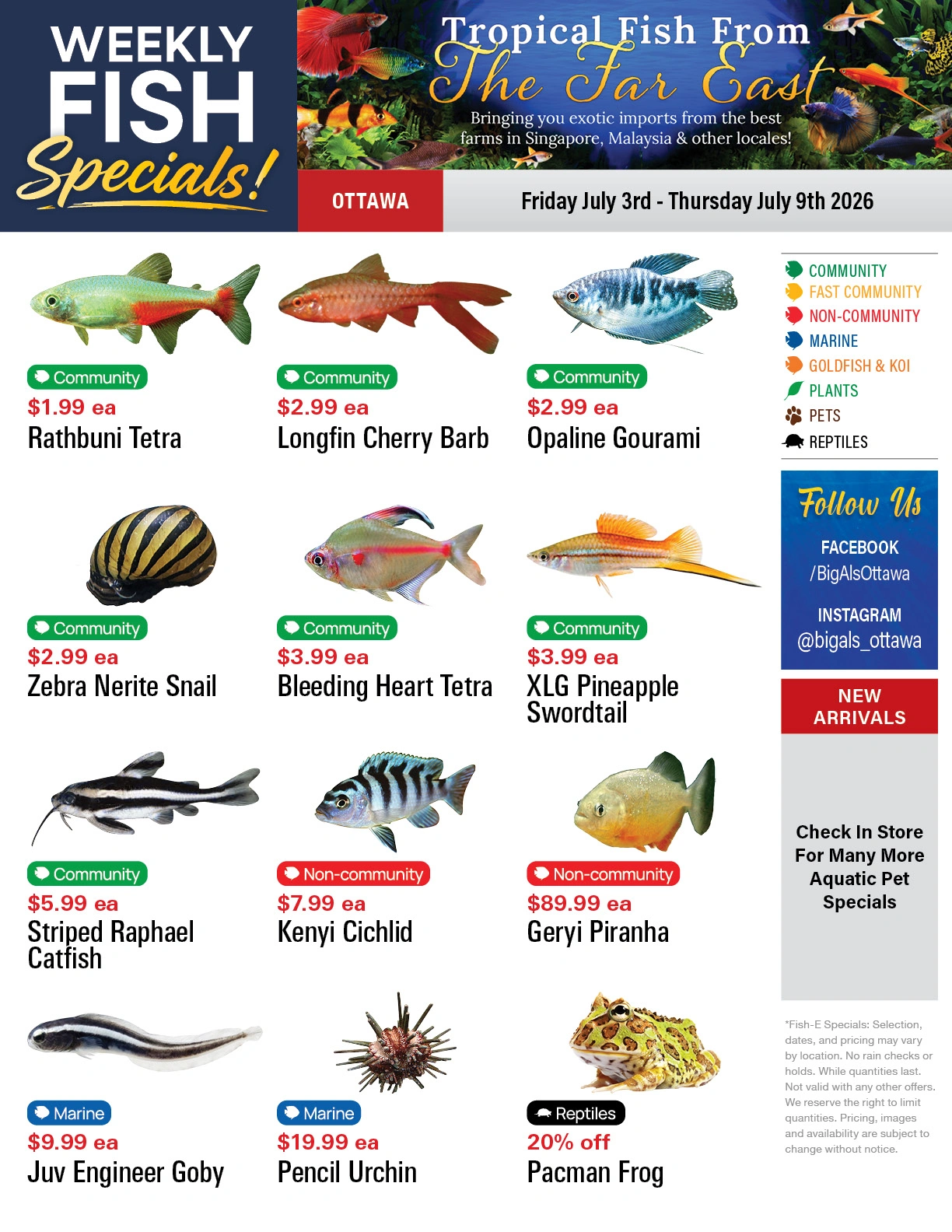Big Al's flyer page 1