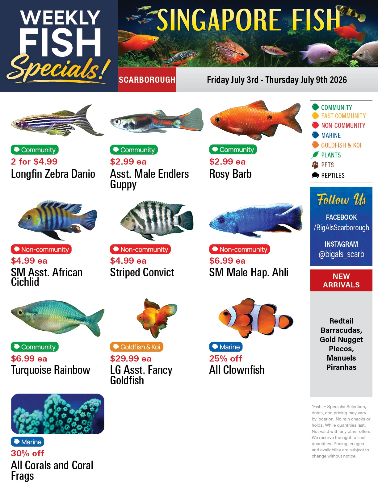 Big Al's flyer page 1