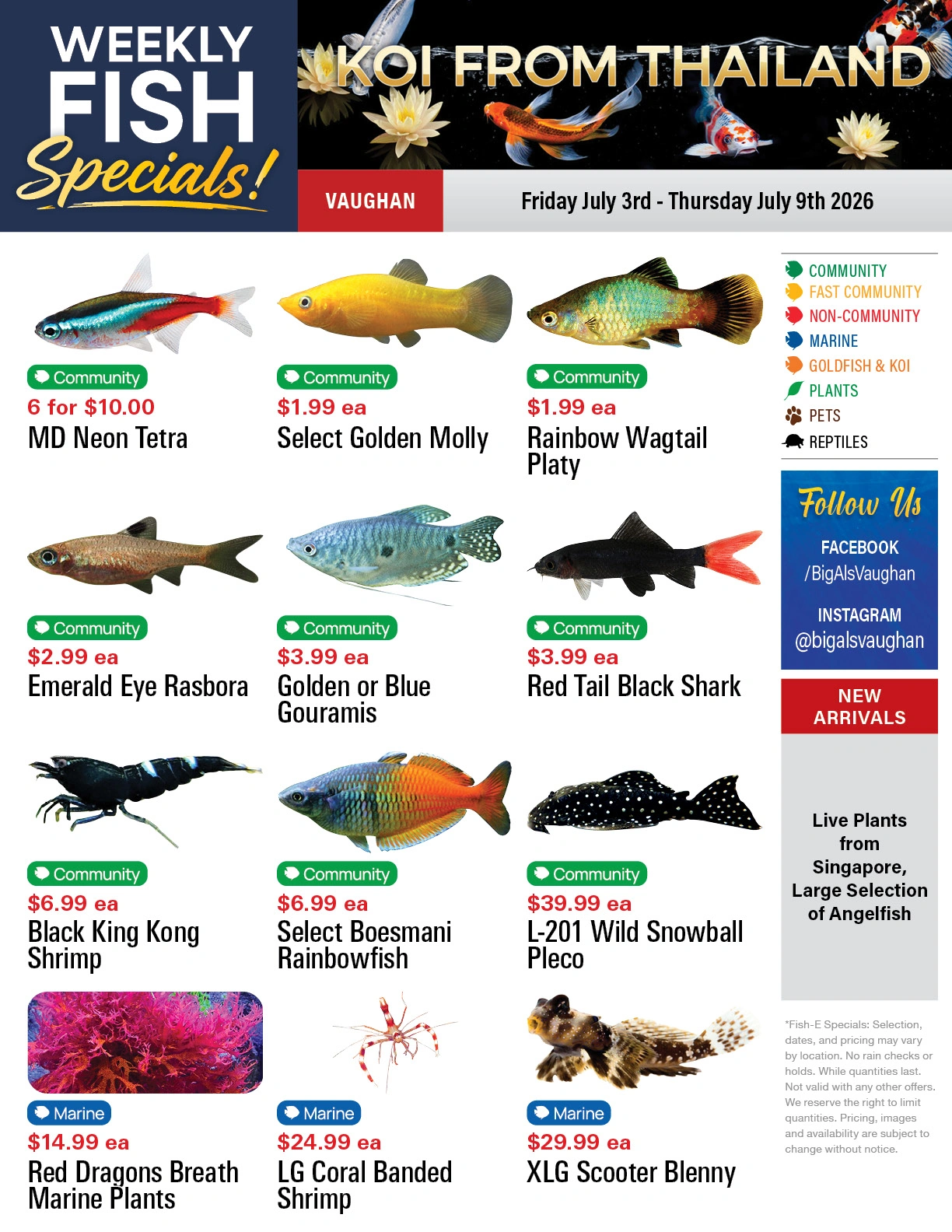 Big Al's flyer page 1