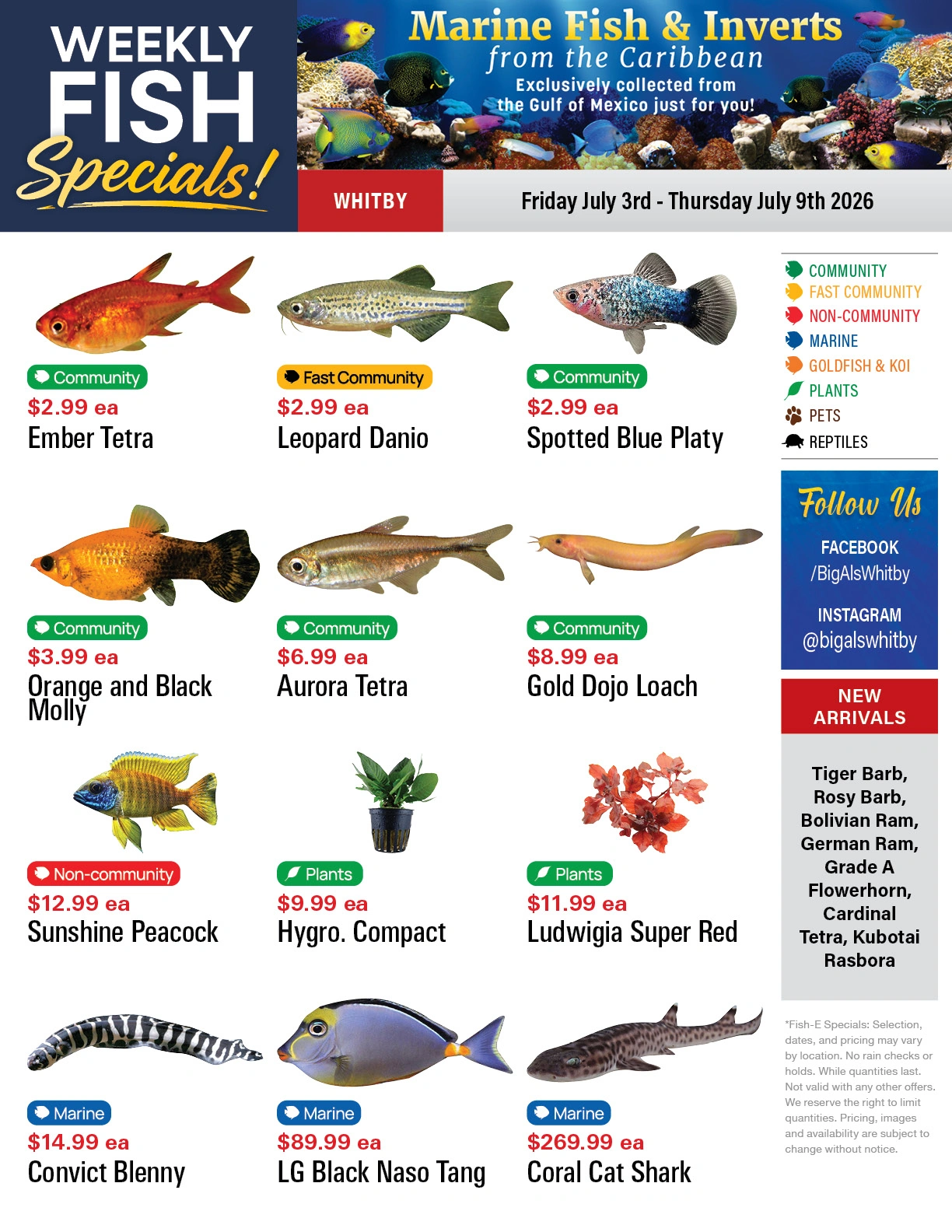 Big Al's flyer page 1