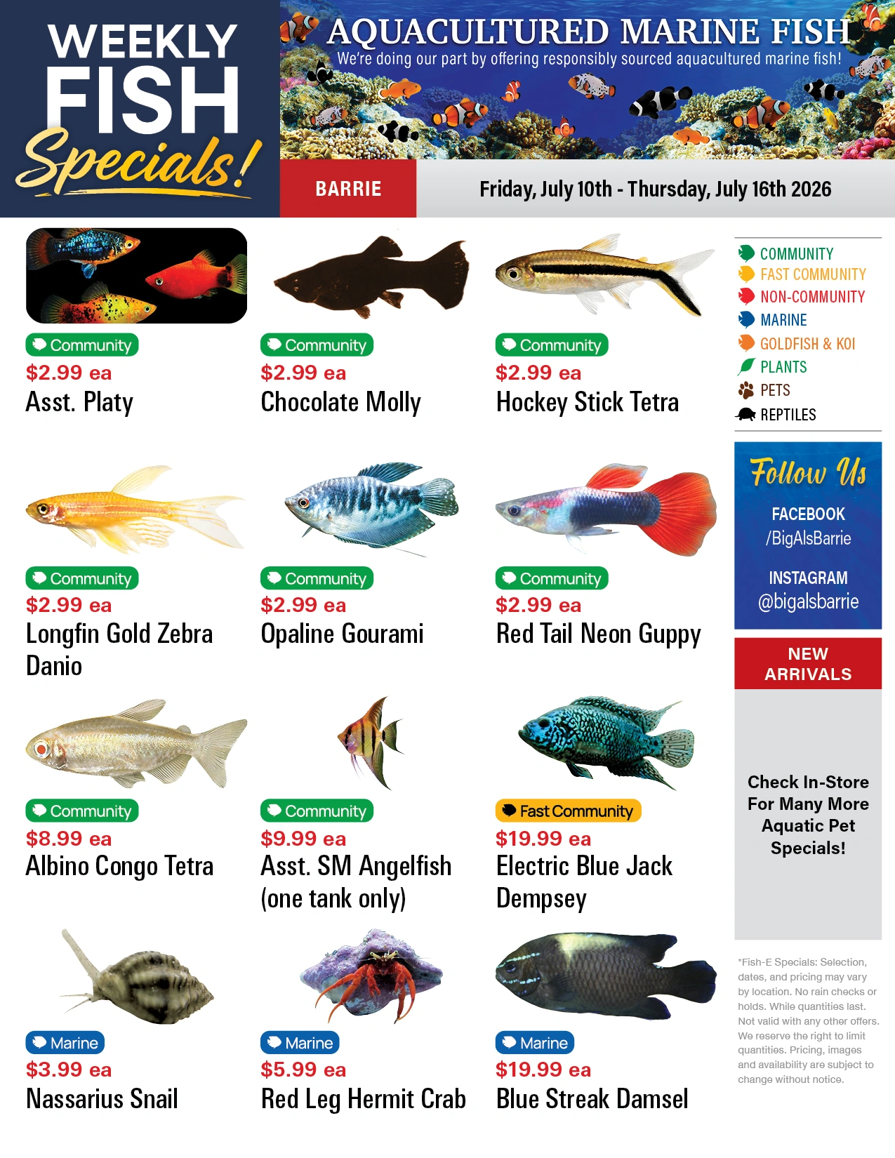 Big Al's flyer page 1