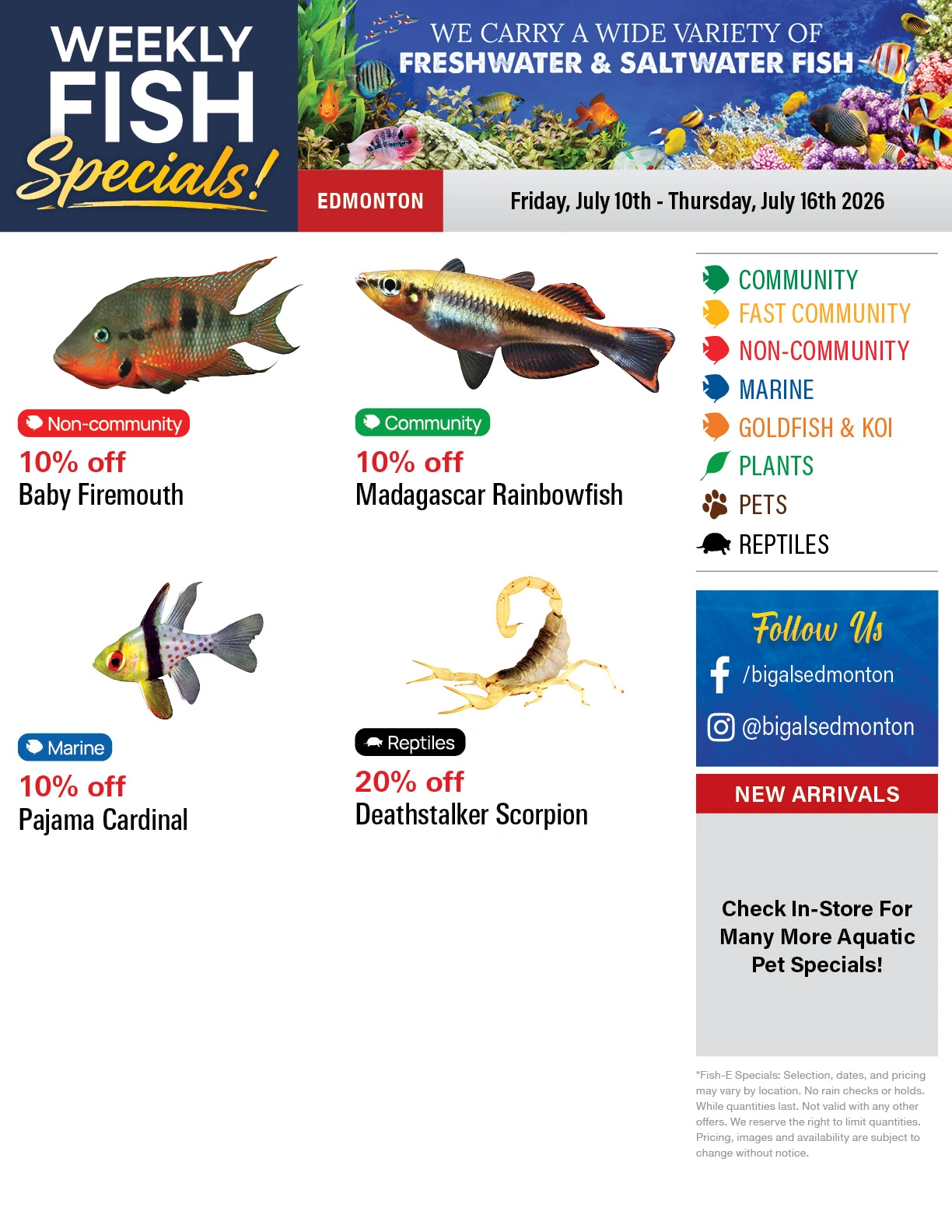 Big Al's flyer page 1