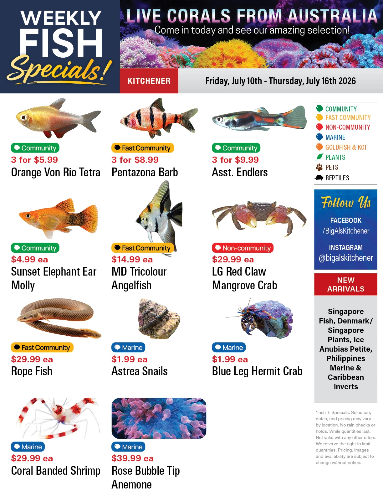 Big Al's flyer page 1