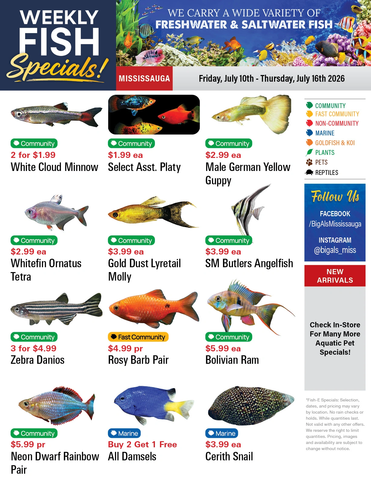 Big Al's flyer page 1