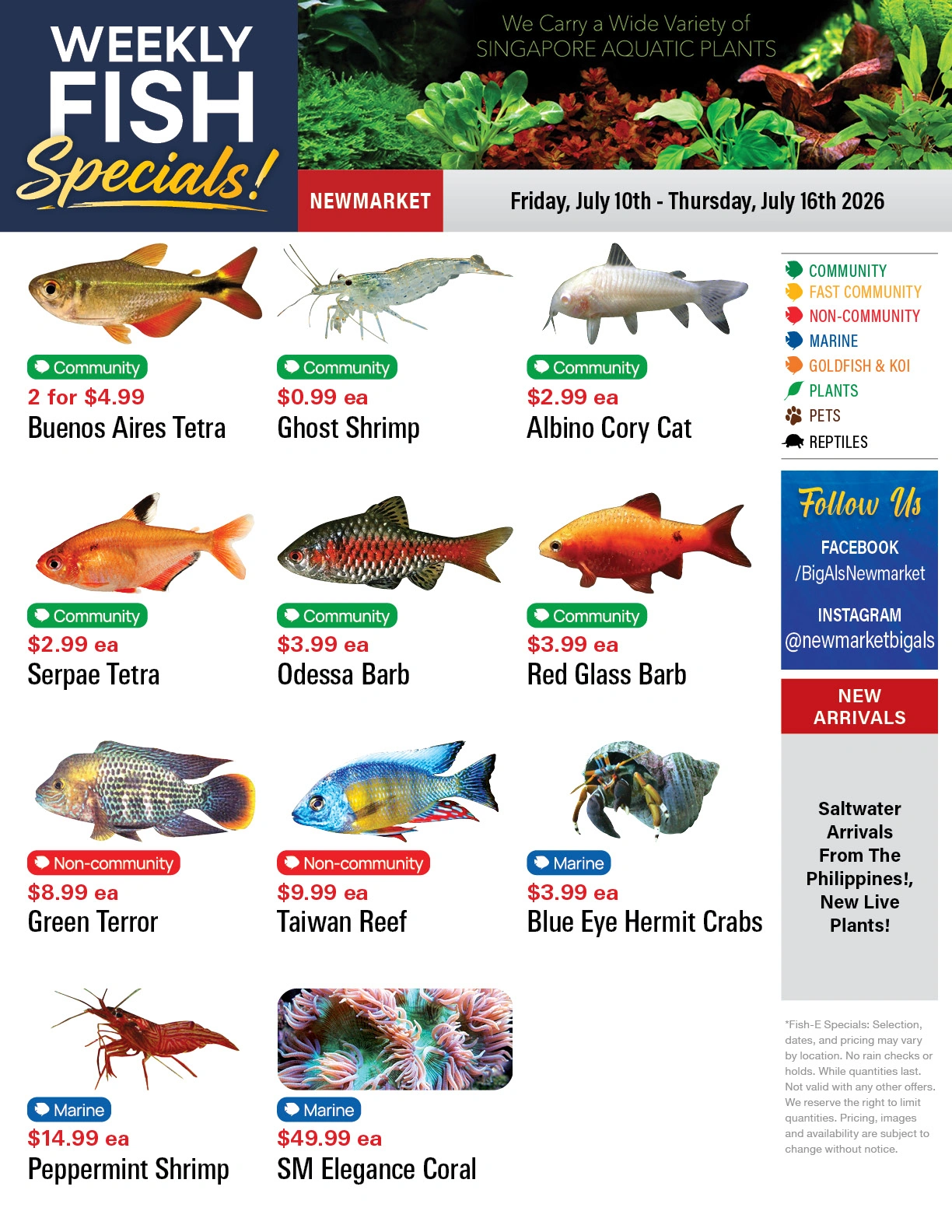 Big Al's flyer page 1