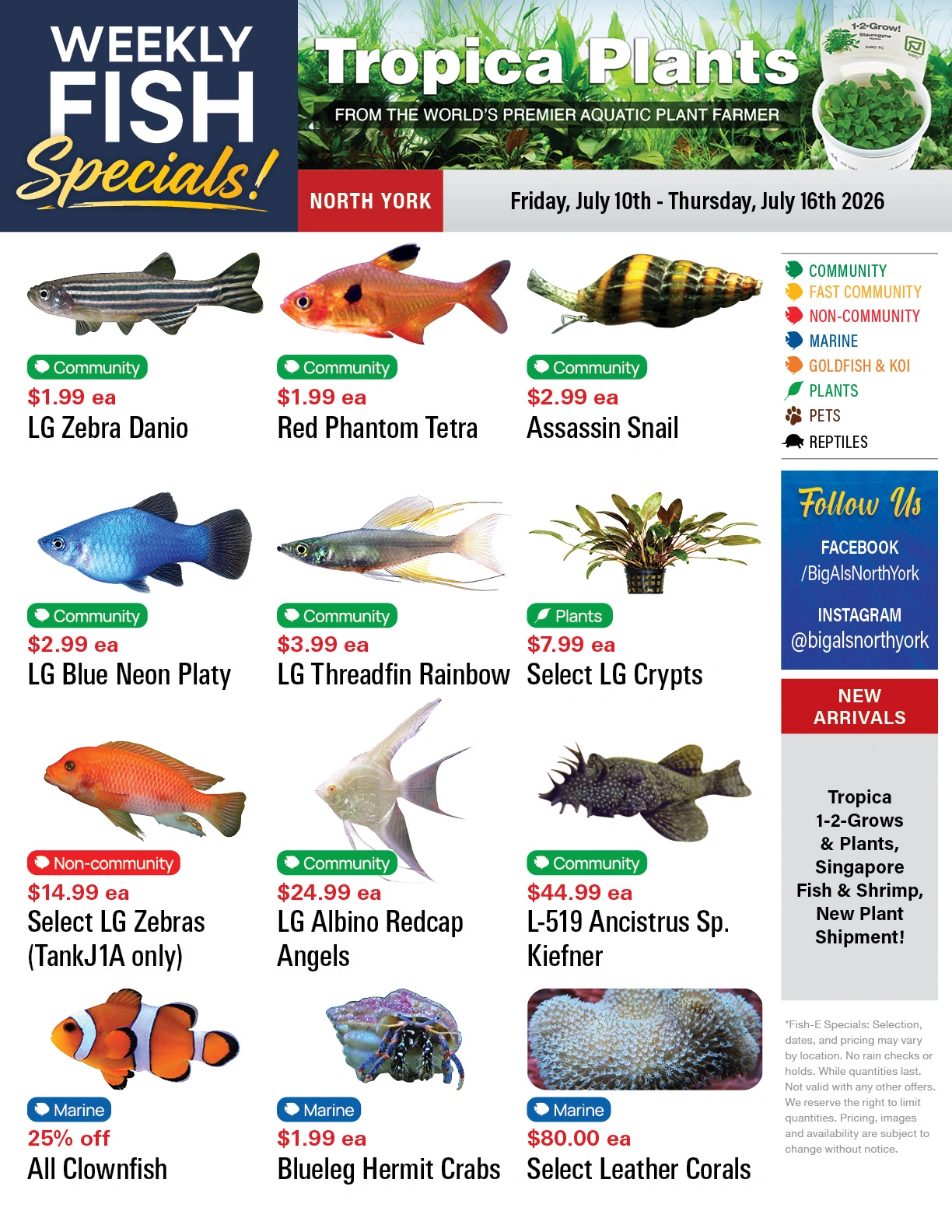 Big Al's flyer page 1