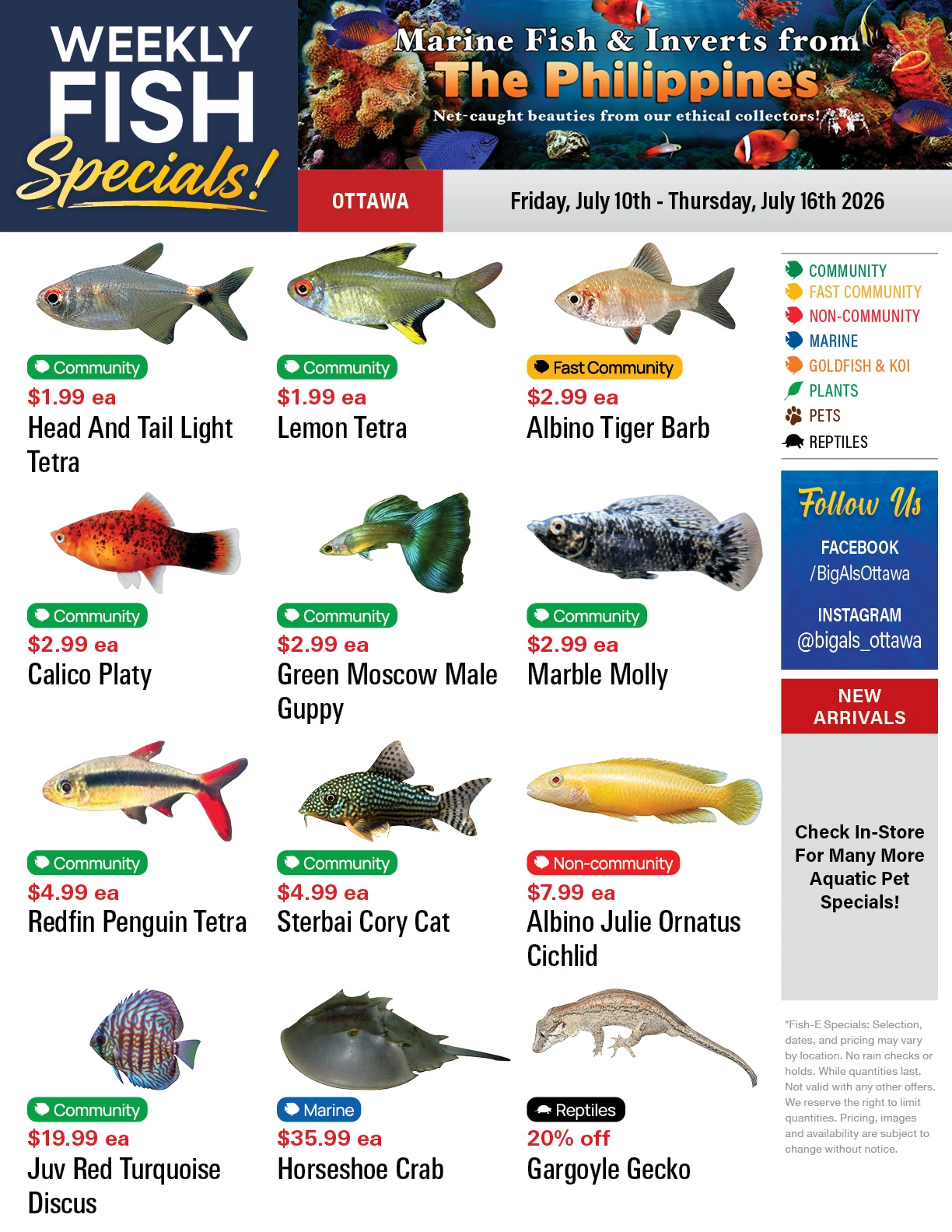 Big Al's flyer page 1