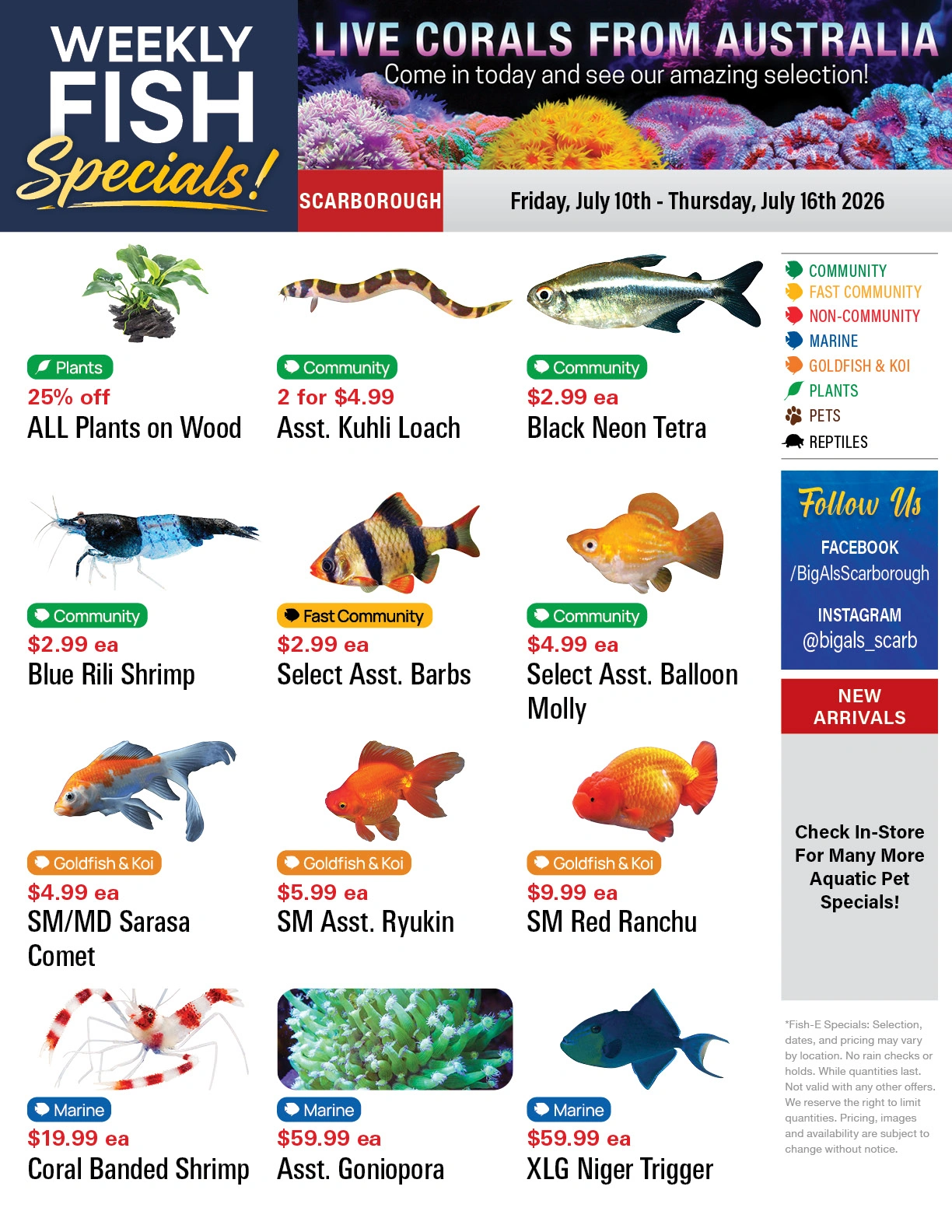 Big Al's flyer page 1