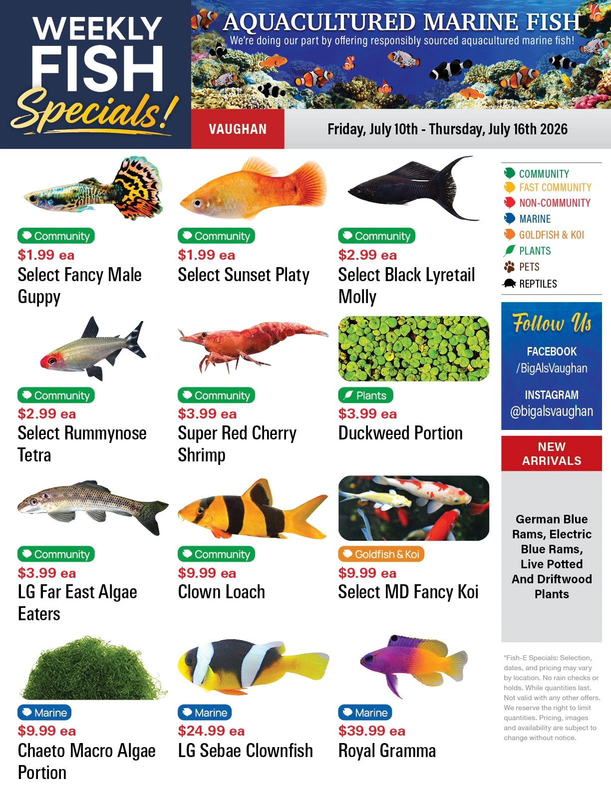 Big Al's flyer page 1
