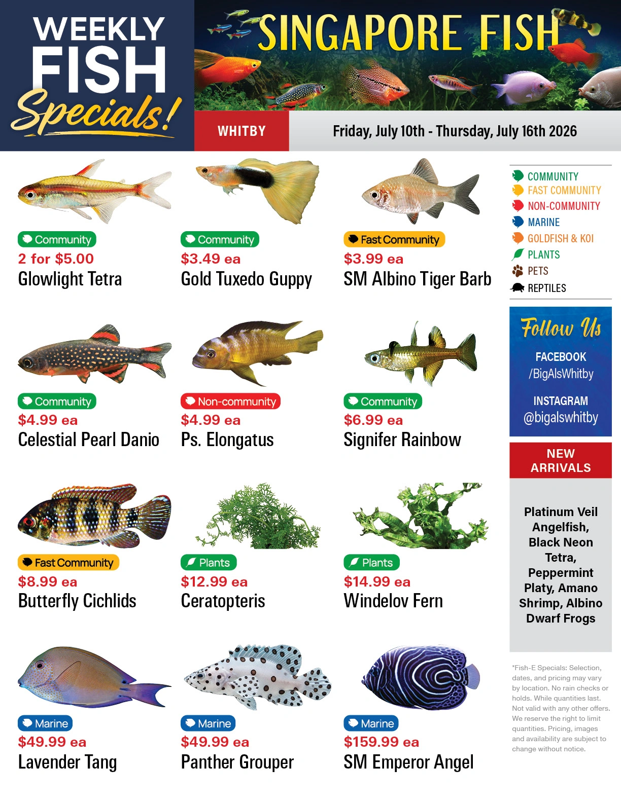 Big Al's flyer page 1