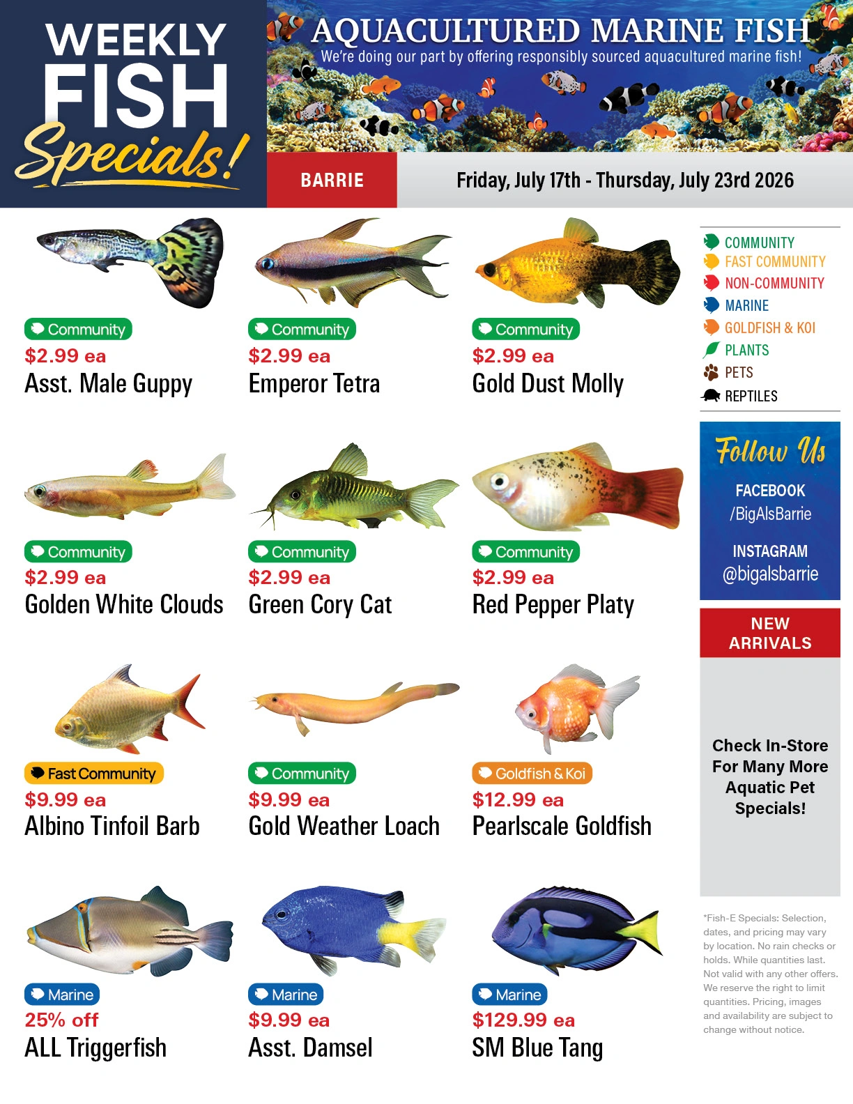 Big Al's flyer page 1