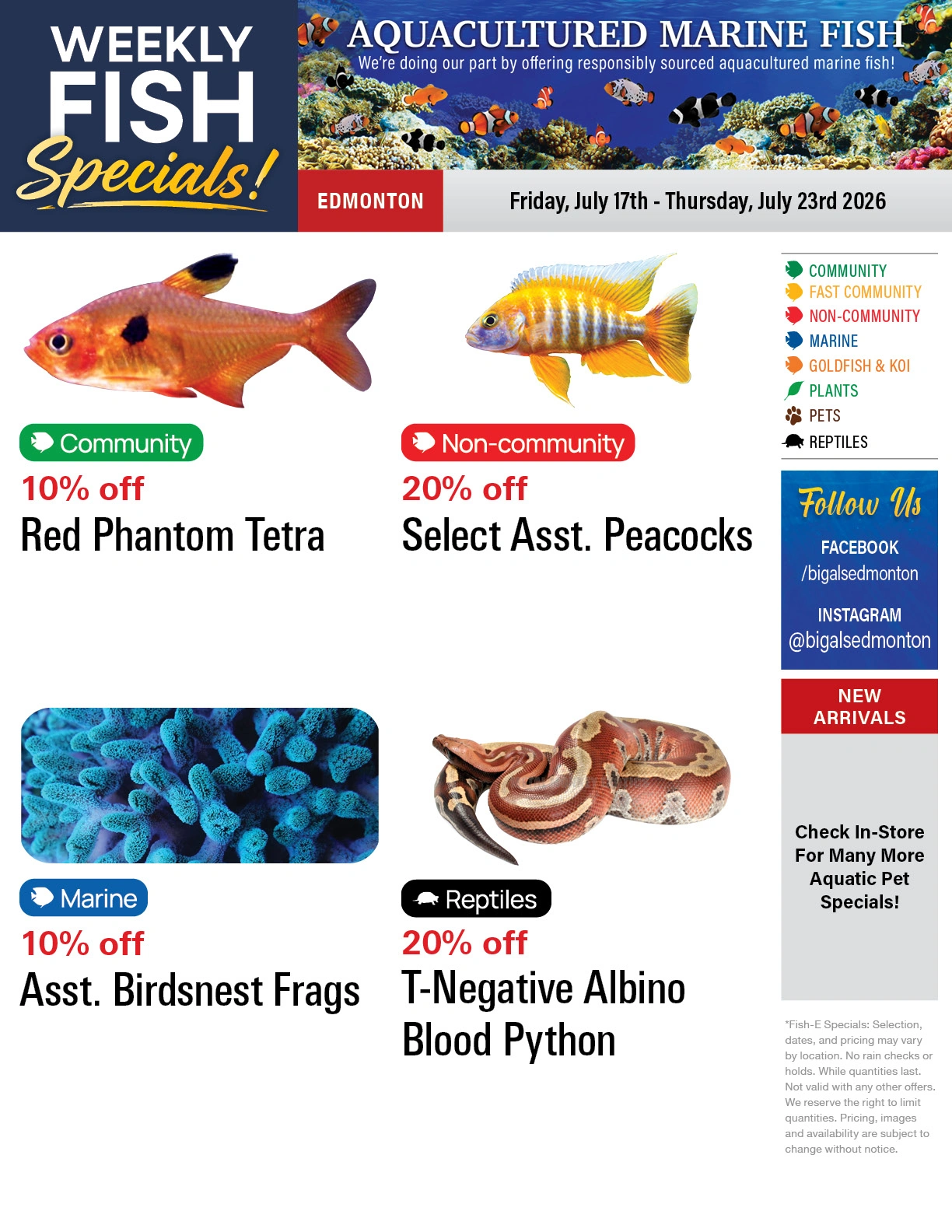 Big Al's flyer page 1