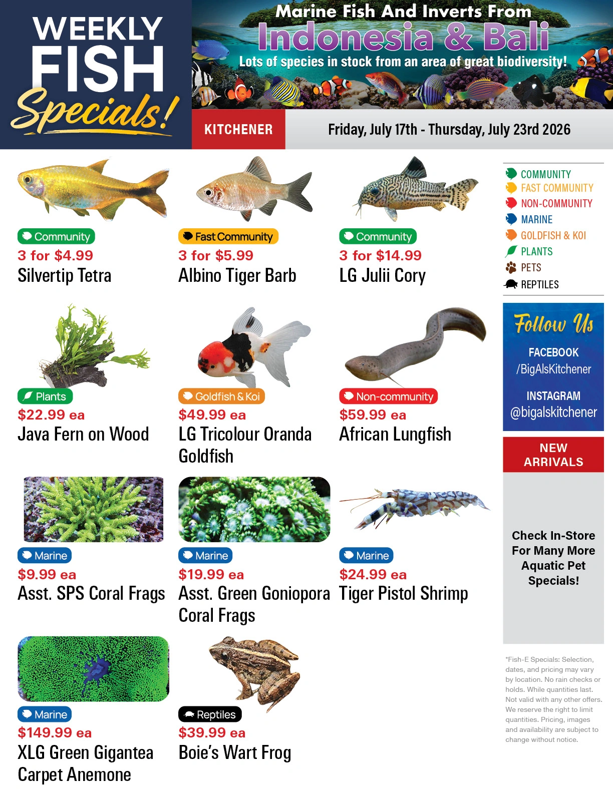 Big Al's flyer page 1
