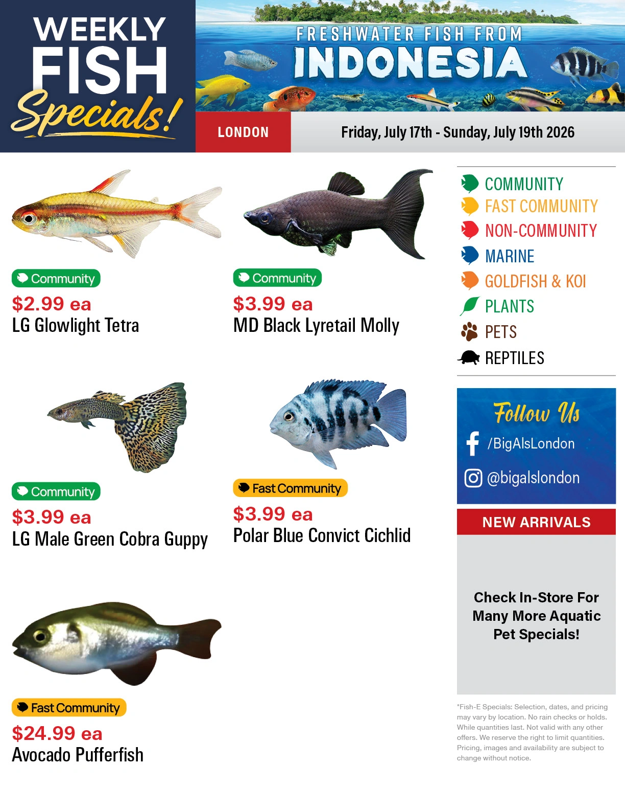 Big Al's flyer page 1