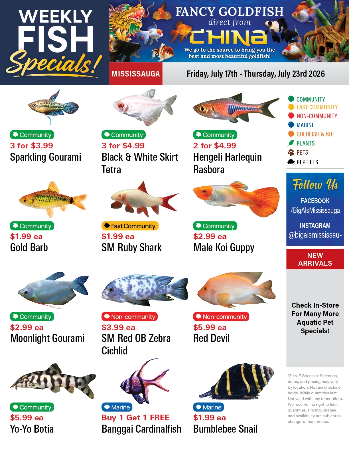 Big Al's flyer page 1