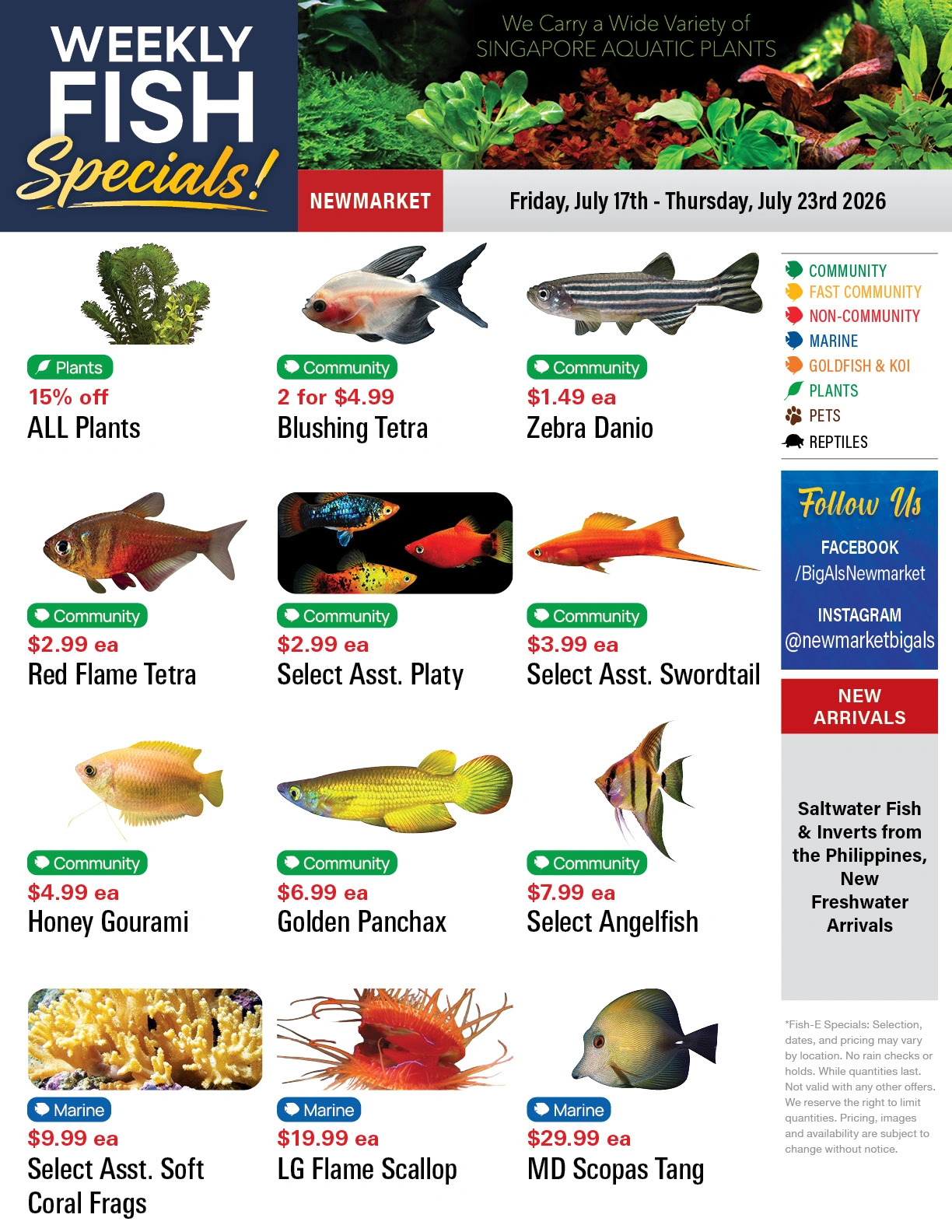 Big Al's flyer page 1