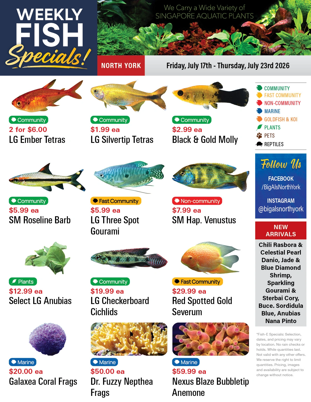 Big Al's flyer page 1