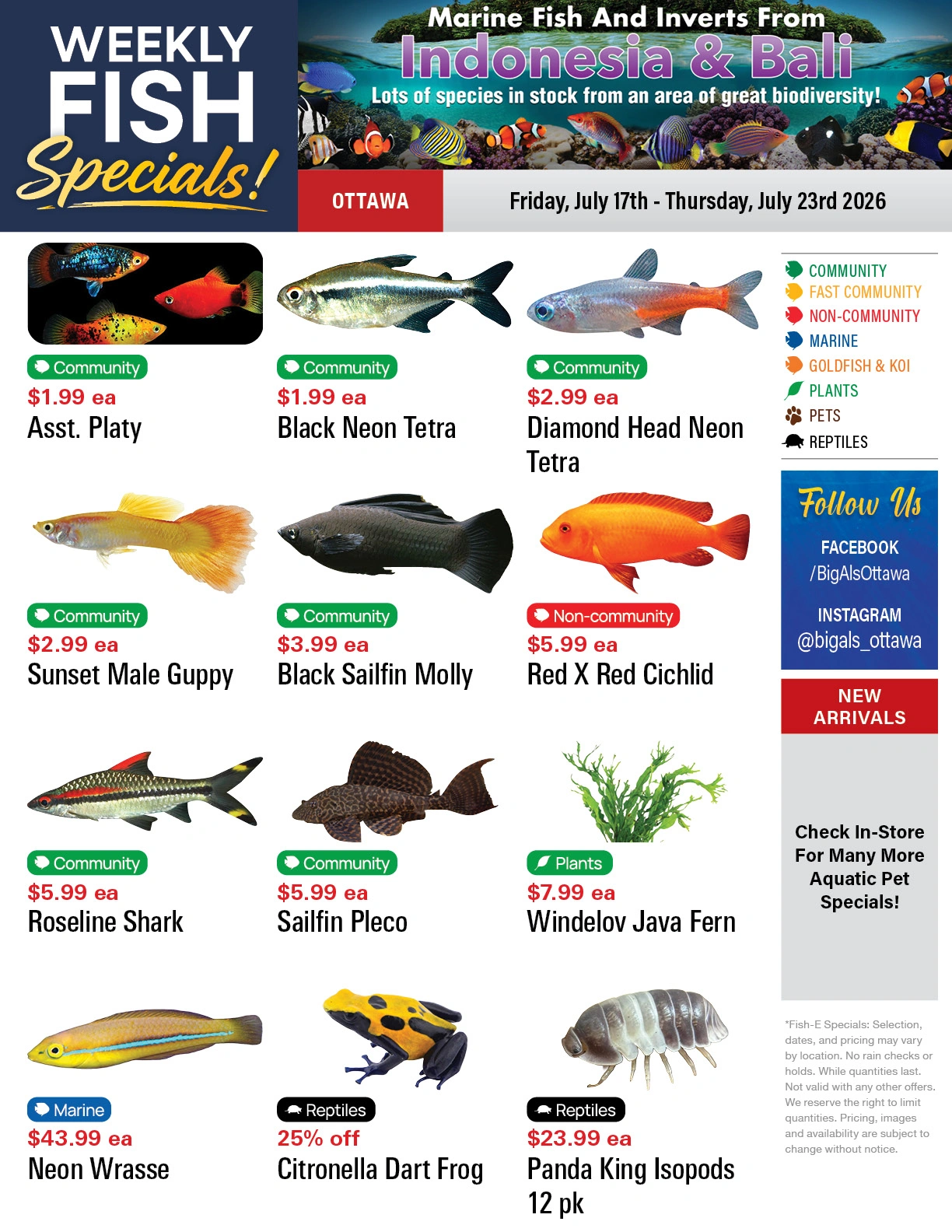 Big Al's flyer page 1