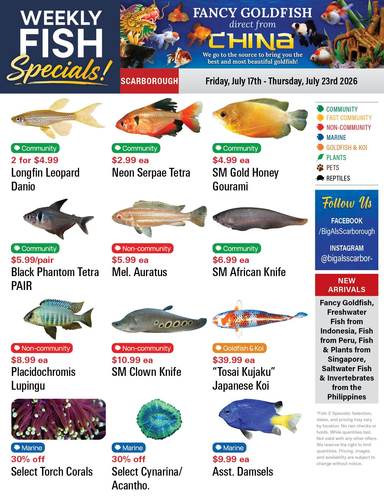 Big Al's flyer page 1