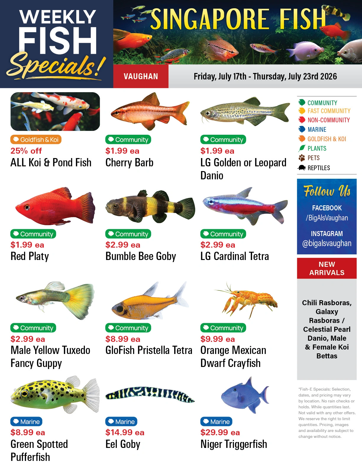 Big Al's flyer page 1