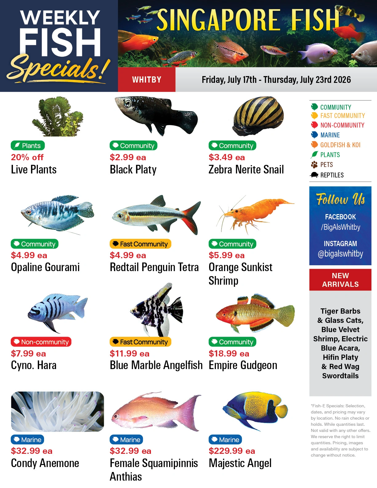 Big Al's flyer page 1