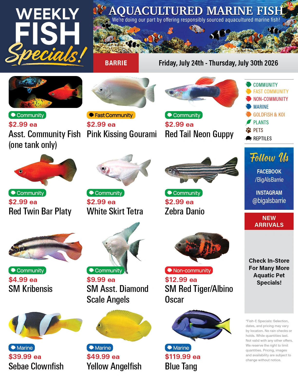 Big Al's flyer page 1