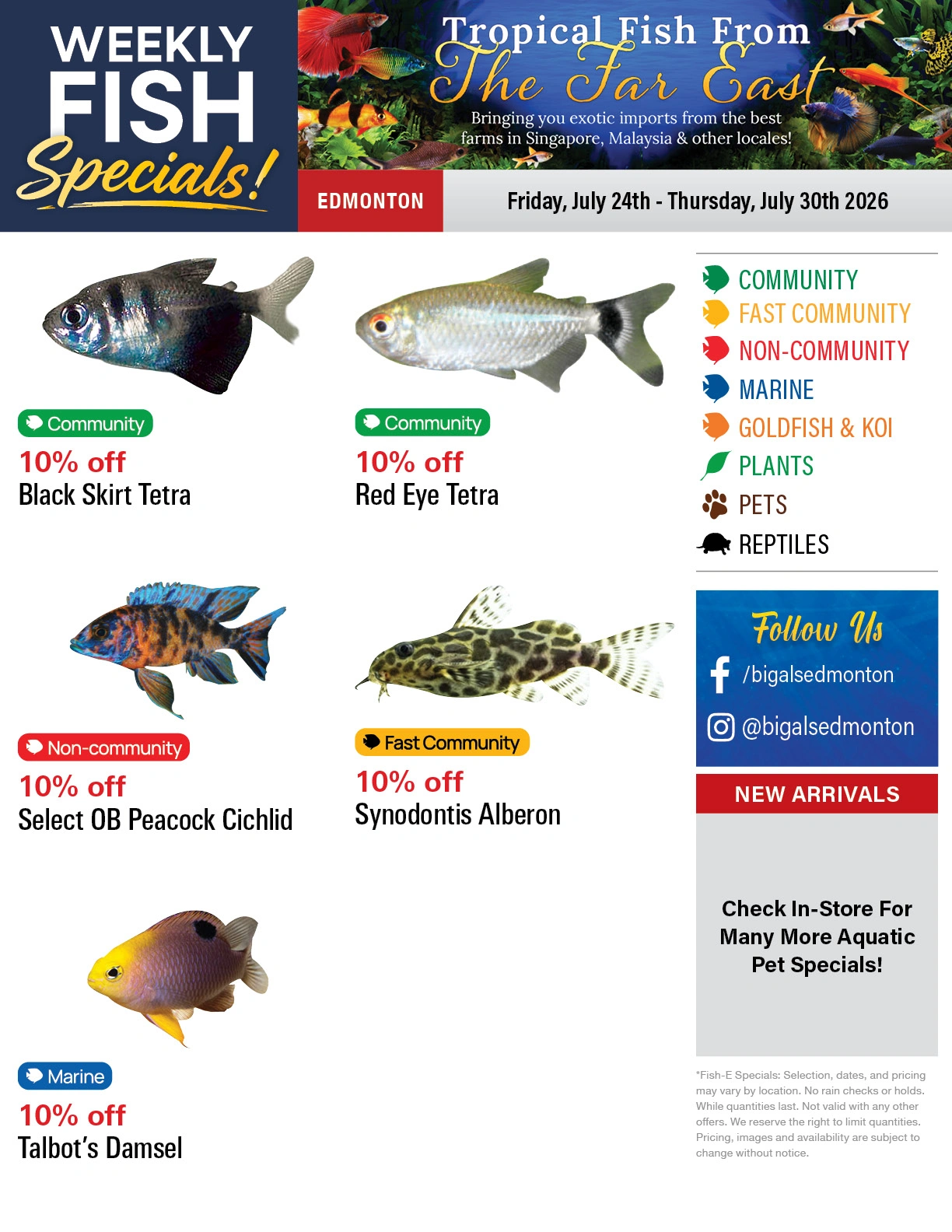 Big Al's flyer page 1