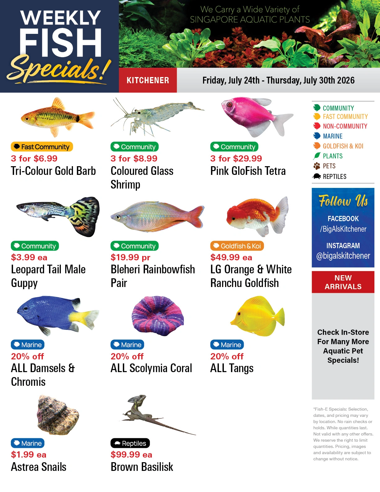 Big Al's flyer page 1