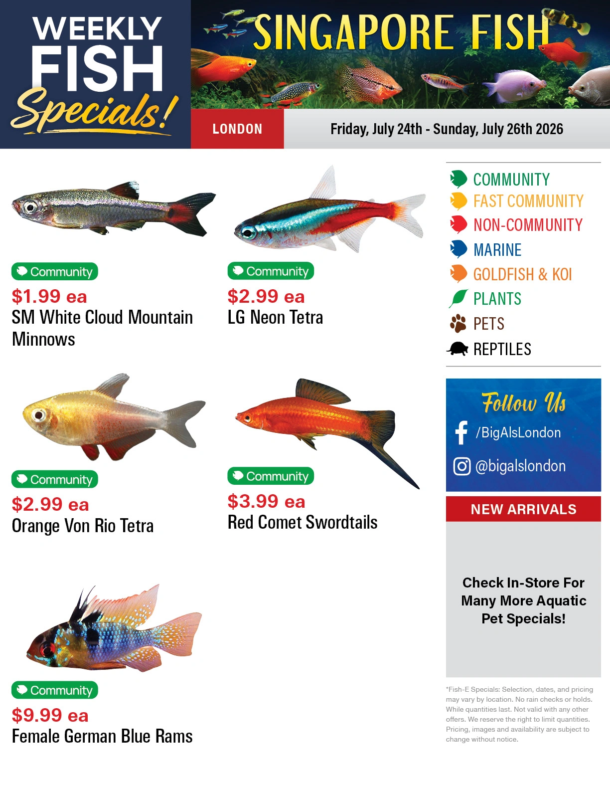 Big Al's flyer page 1