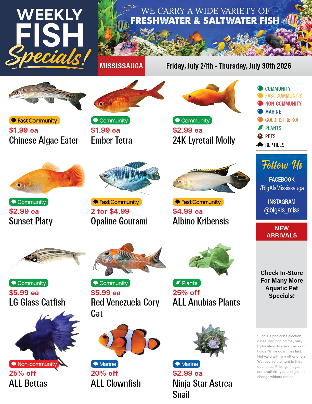 Big Al's flyer page 1